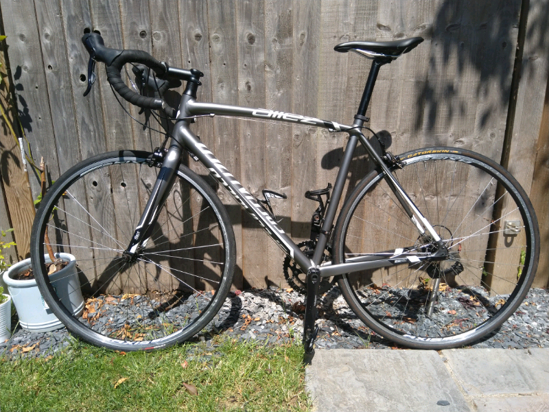 gumtree specialized allez